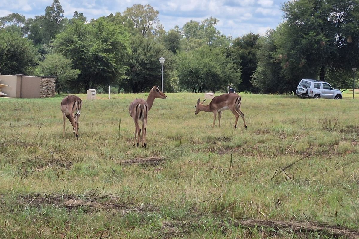 Vacant stand in Vaal de Grace- All golf Lovers - Photo 3