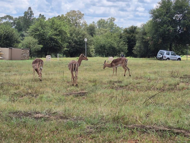 Vacant stand in Vaal de Grace- All golf Lovers - Photo 3