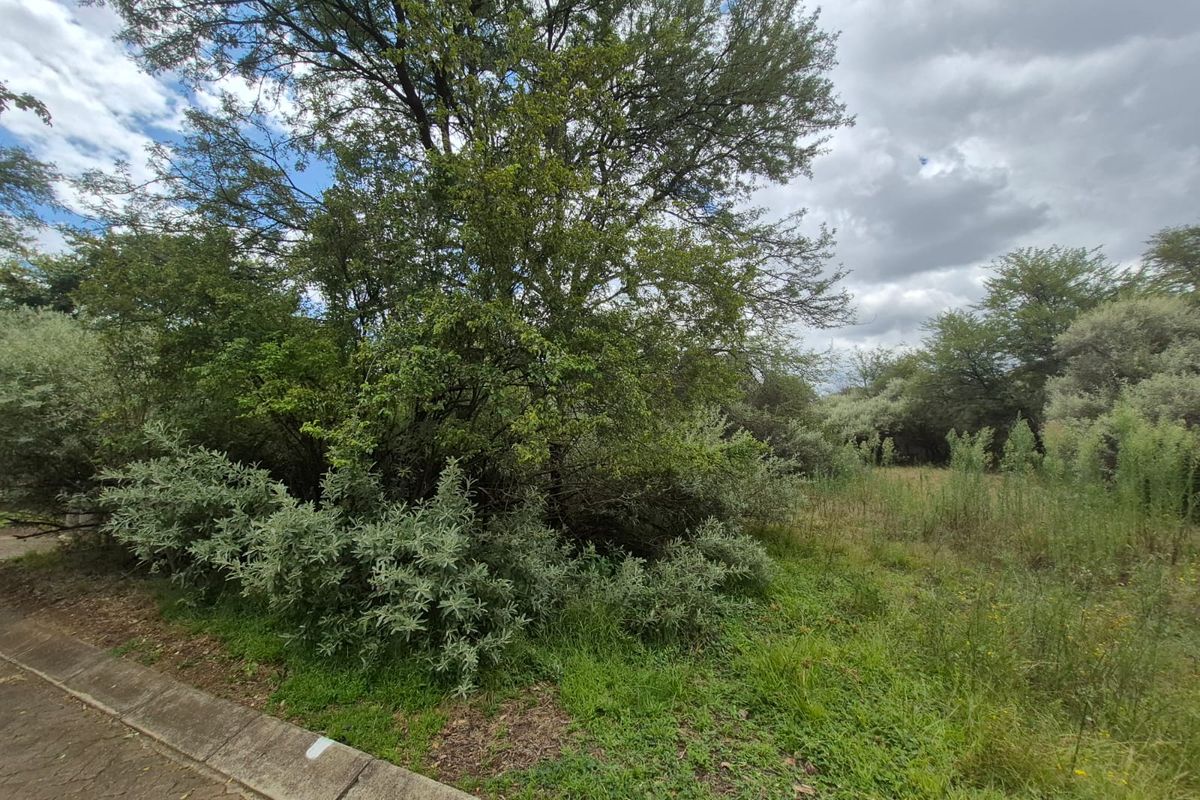 Vacant Stand in Prestigious Vaal de Grace Nature Estate - Photo 4