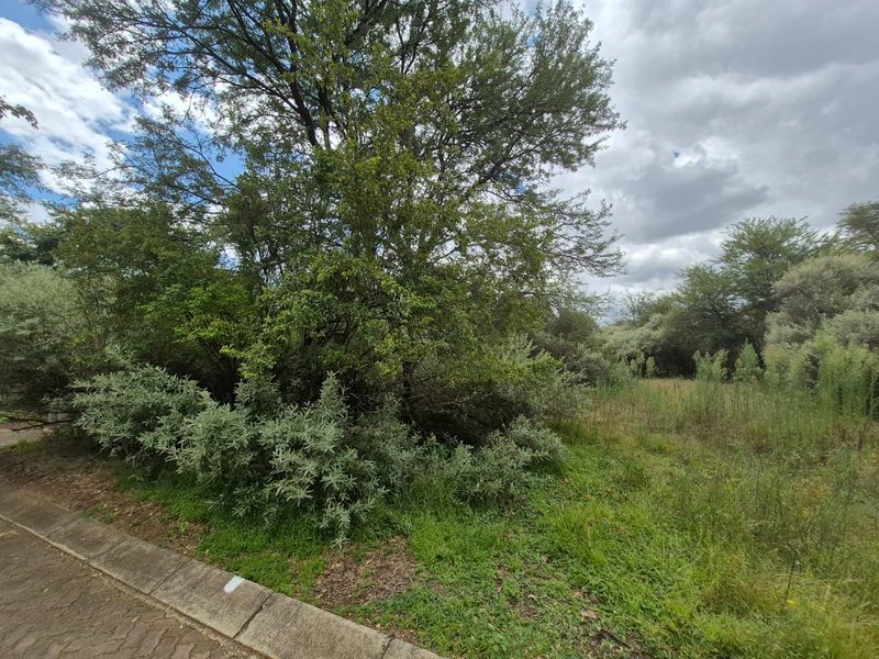 Vacant Stand in Prestigious Vaal de Grace Nature Estate - Photo 4