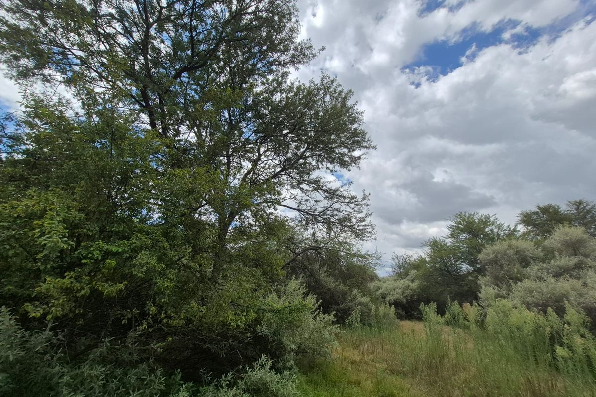 Vacant Stand in Prestigious Vaal de Grace Nature Estate - Photo 5