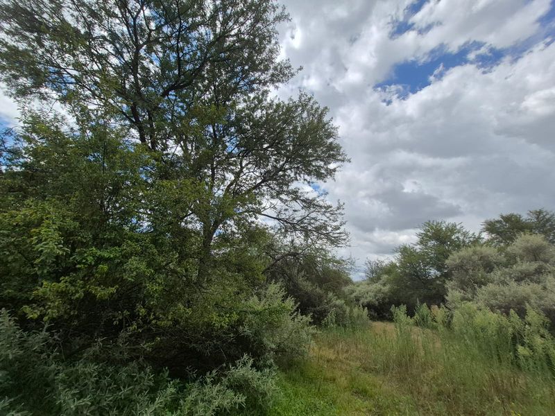 Vacant Stand in Prestigious Vaal de Grace Nature Estate - Photo 5