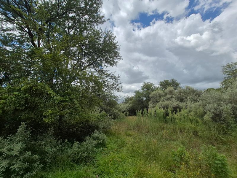 Vacant Stand in Prestigious Vaal de Grace Nature Estate - Photo 6