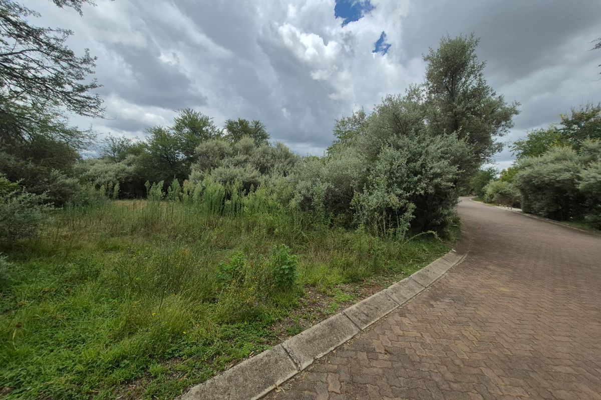 Vacant Stand in Prestigious Vaal de Grace Nature Estate - Photo 3