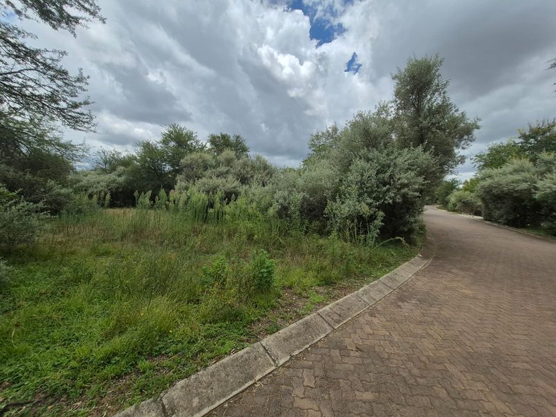 Vacant Stand in Prestigious Vaal de Grace Nature Estate - Photo 3