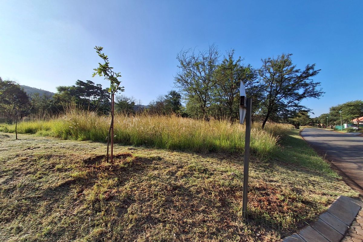 Buffelspoort -Build Your Dream Home in a Tranquil Eco Estate - Photo 4