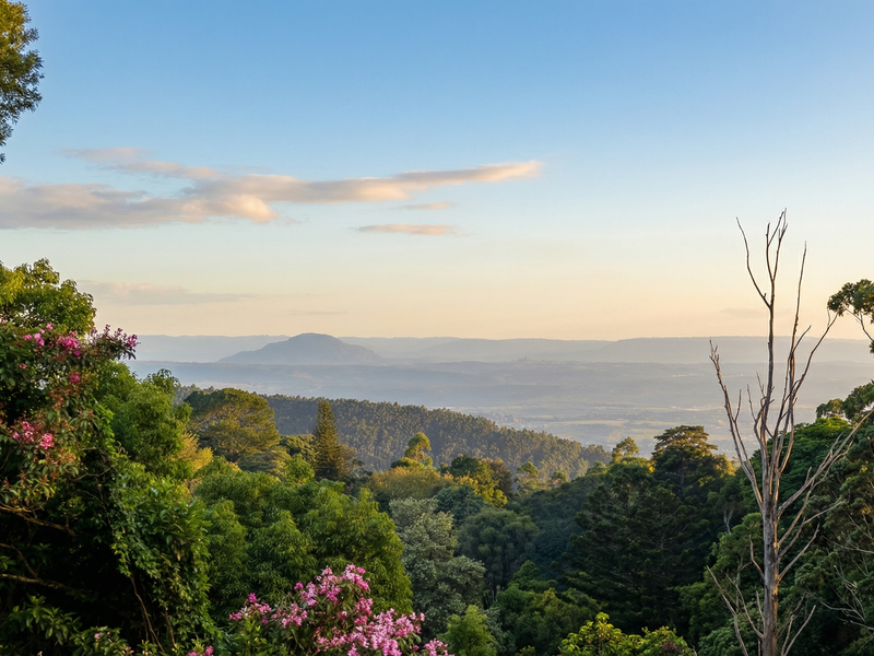 A scenic landscape view overlooking lush green hills, dense forest canopy, and distant mountains under a clear sky.