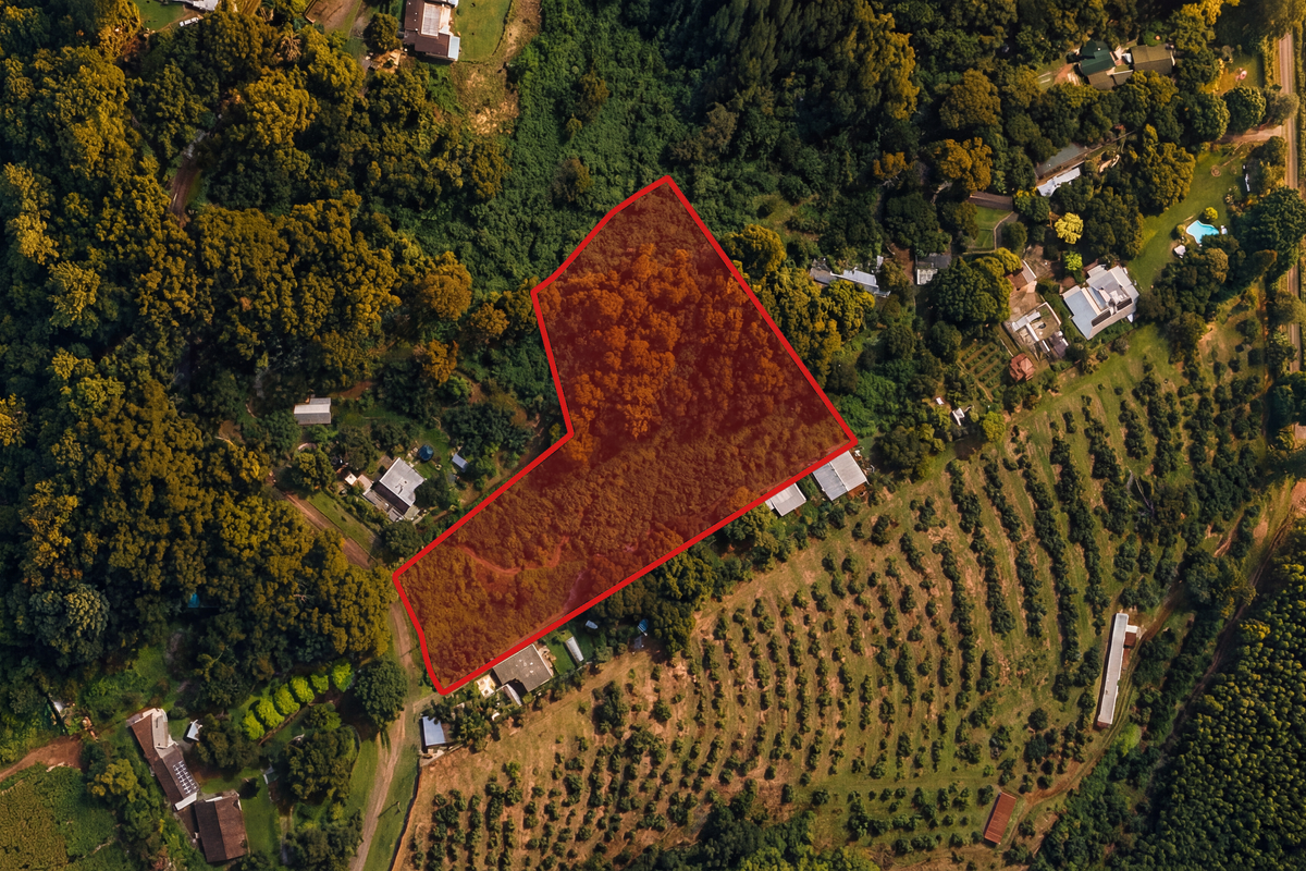 An aerial view of a vacant residential plot highlighted in red, surrounded by dense trees and agricultural land.