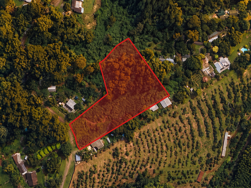 An aerial view of a vacant residential plot highlighted in red, surrounded by dense trees and agricultural land.