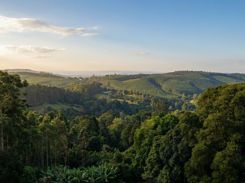 A scenic, elevated landscape view overlooking lush green hills and dense forest vegetation under a soft sunset sky.