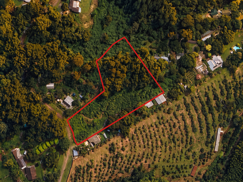 Aerial view of a large, heavily wooded residential land parcel with defined boundaries, surrounded by agricultural fields and established rural properties.