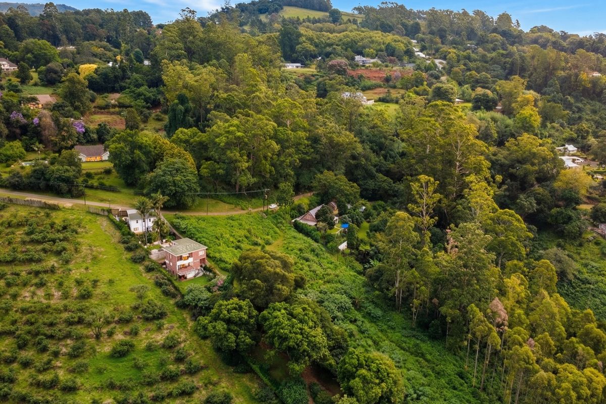 An aerial view of a sloped residential plot featuring dense vegetation, mature trees, and surrounding neighborhood landscape.