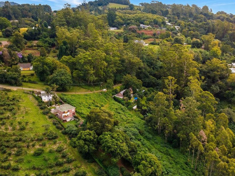 An aerial view of a sloped residential plot featuring dense vegetation, mature trees, and surrounding neighborhood landscape.