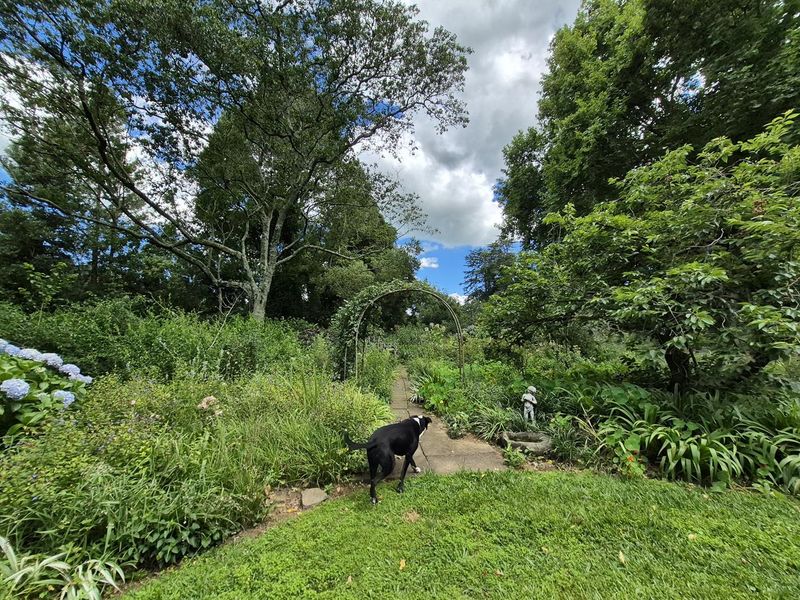 Exceptional Grazing Farm in the Heart of the Midlands - Photo 10