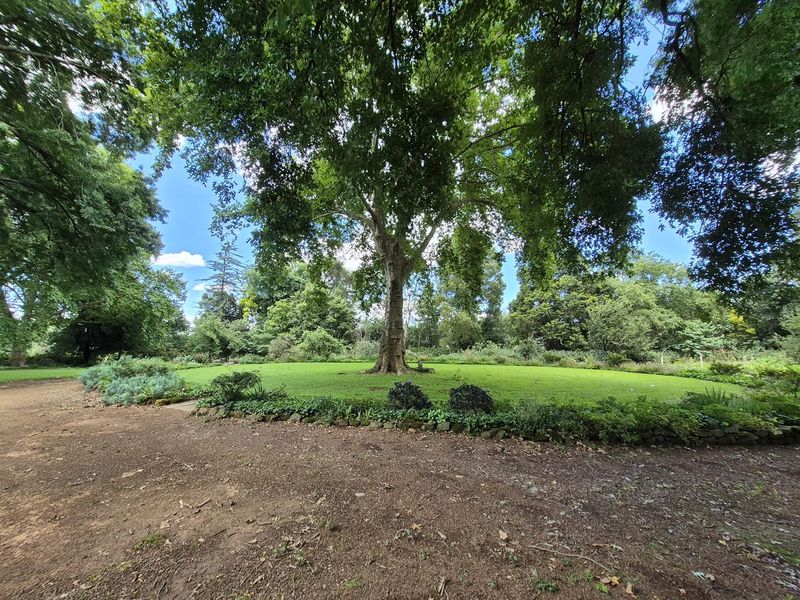 Exceptional Grazing Farm in the Heart of the Midlands - Photo 7