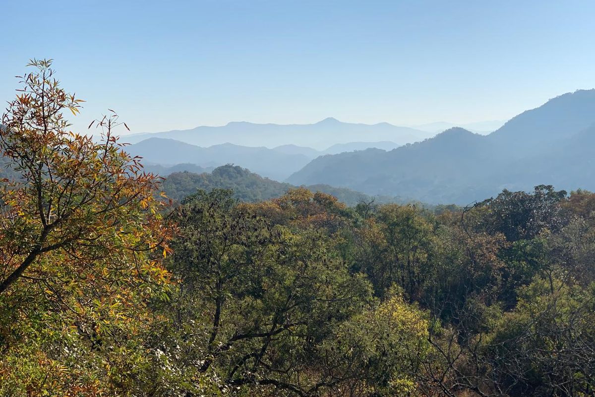 Discover 10,000m2 of prime vacant land for sale in Renosterkop, Nelspruit—your dream investment awai - Photo 2