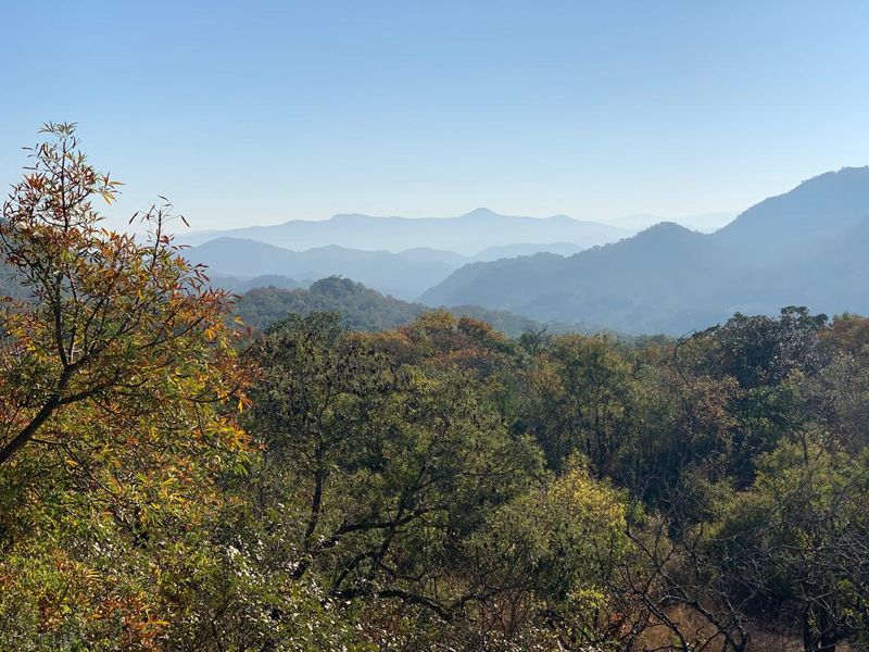 Discover 10,000m2 of prime vacant land for sale in Renosterkop, Nelspruit—your dream investment awai - Photo 2