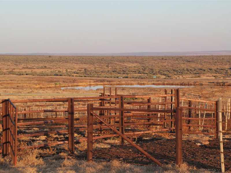 Vryburg farm - 85 Ha - Photo 10