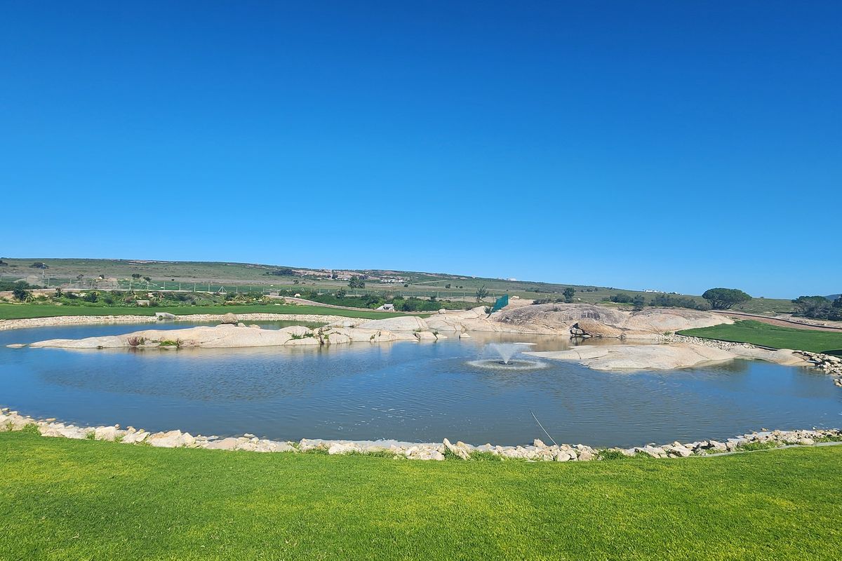 A scenic view of a landscaped residential plot featuring a large man-made pond with rock formations and a central water fountain.