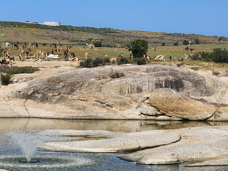 Prime Plot & Plan in Chardon Village with Farmland Views - Photo 6