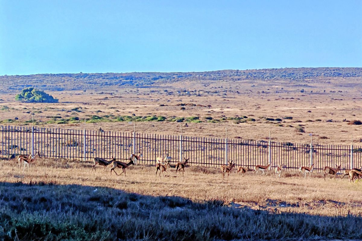 Prime Plot & Plan in Chardon Village with Farmland Views - Photo 2
