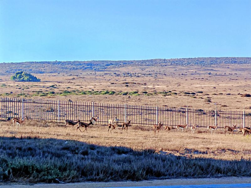 Prime Plot & Plan in Chardon Village with Farmland Views - Photo 2