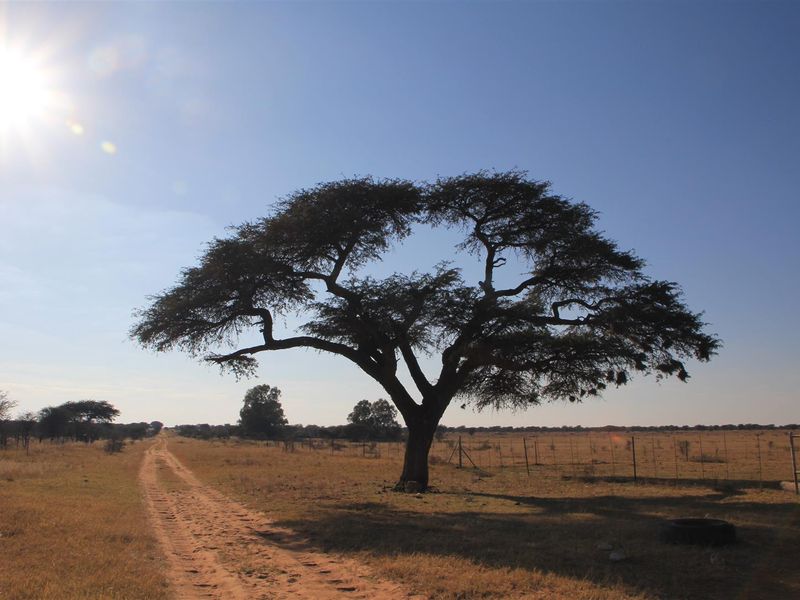 Vryburg: Farm for Sale – 933ha - Photo 5