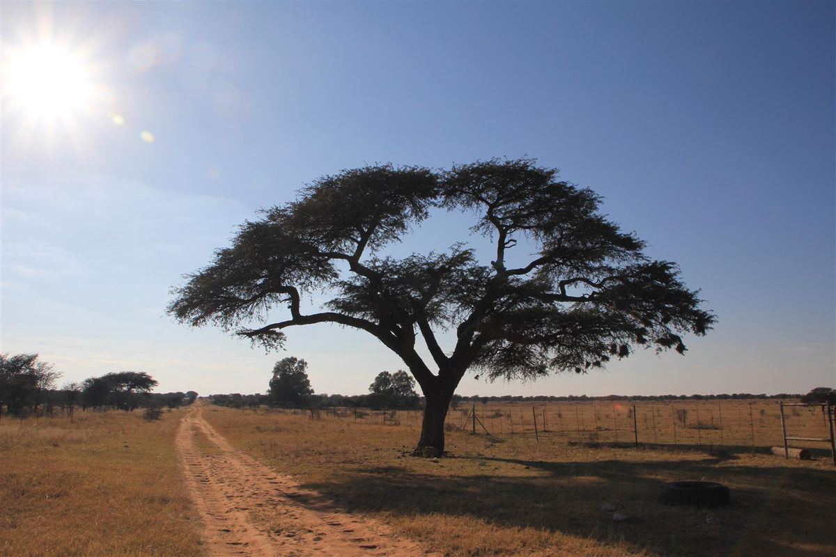 Vryburg: Farm for Sale – 933ha - Photo 5