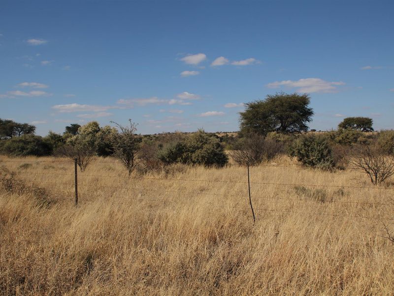 Vryburg: Farm for Sale, Brussels – 2334 ha - Photo 6