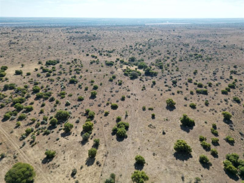 Vryburg: Farm for Sale, Brussels – 2334 ha - Photo 2