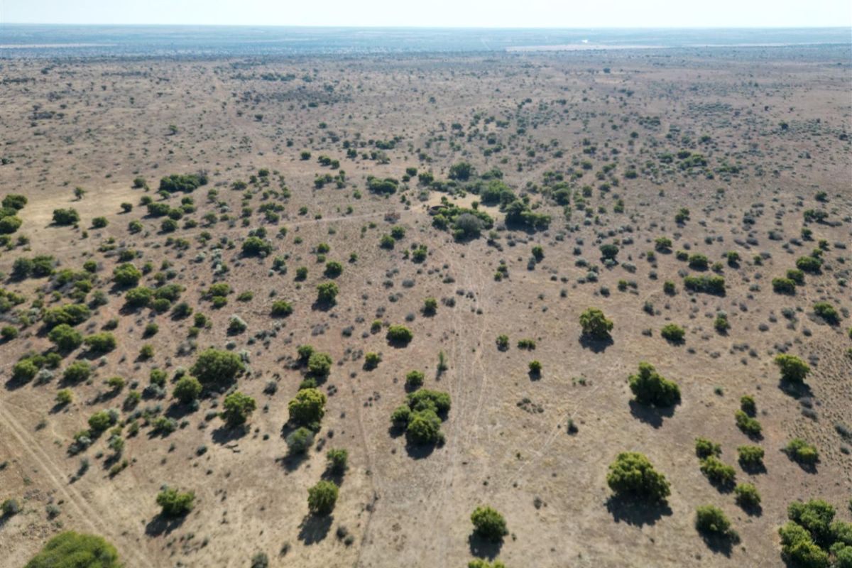 Vryburg: Farm for Sale, Brussels – 2334 ha - Photo 2