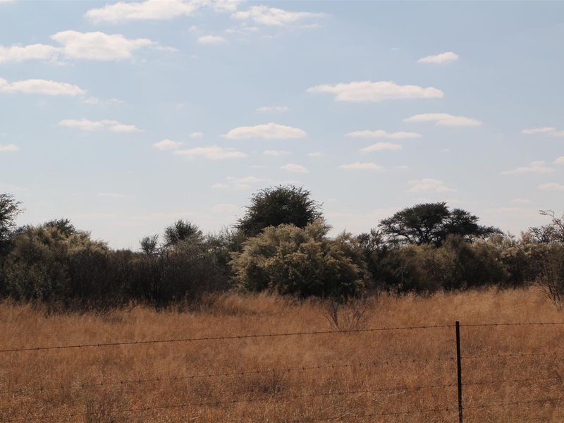 Vryburg: Farm for Sale, Brussels – 2334 ha - Photo 7
