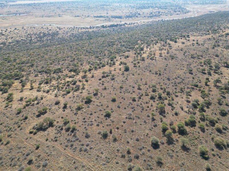 Vryburg: Farm for Sale, Brussels – 2334 ha - Photo 4