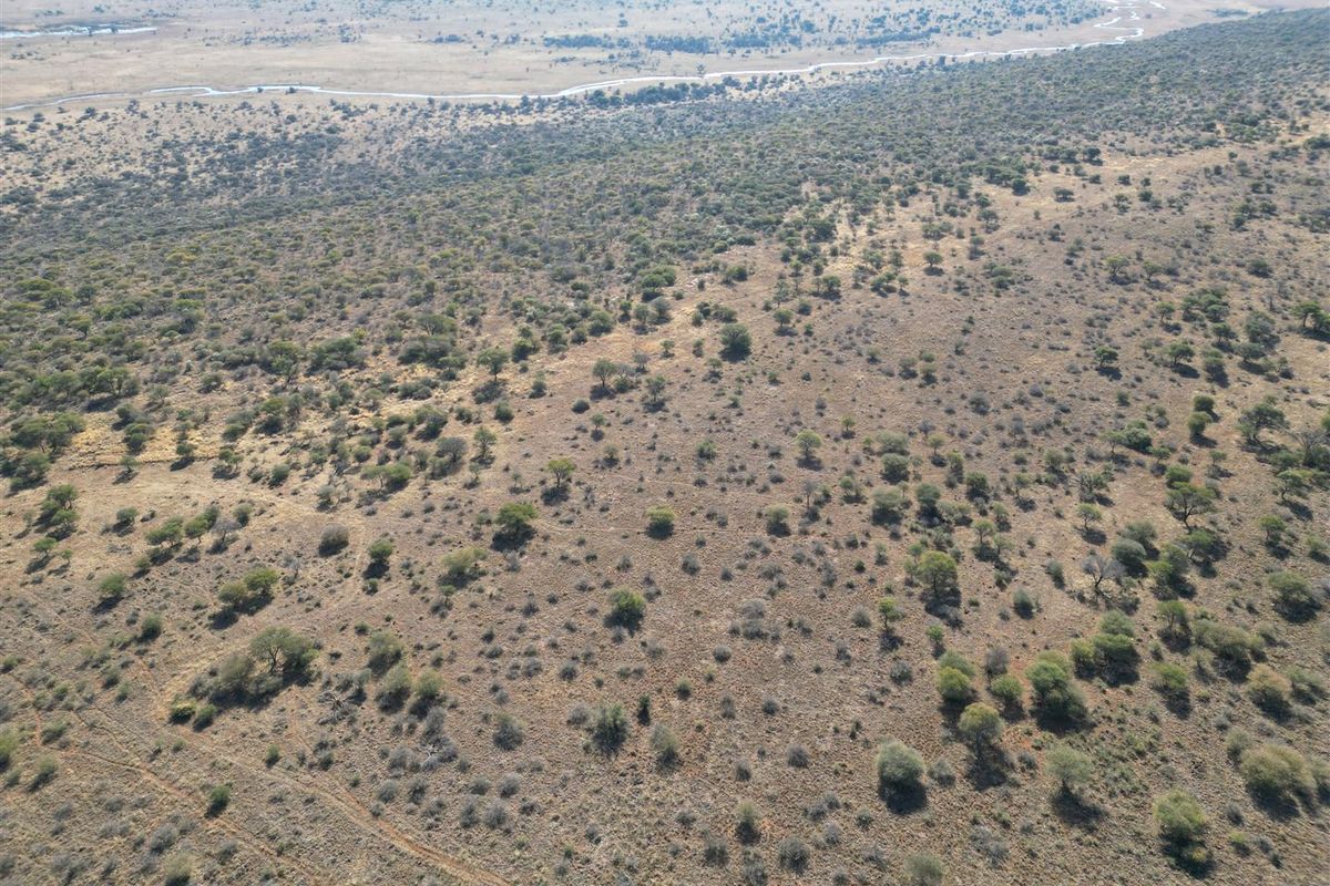 Vryburg: Farm for Sale, Brussels – 2334 ha - Photo 4