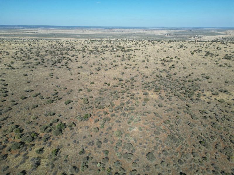 Vryburg: Farm for Sale, Brussels – 2334 ha - Photo 3