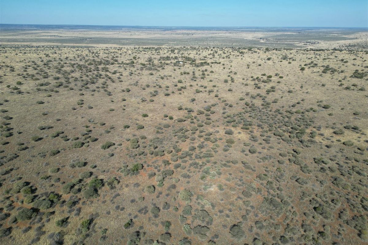 Vryburg: Farm for Sale, Brussels – 2334 ha - Photo 3