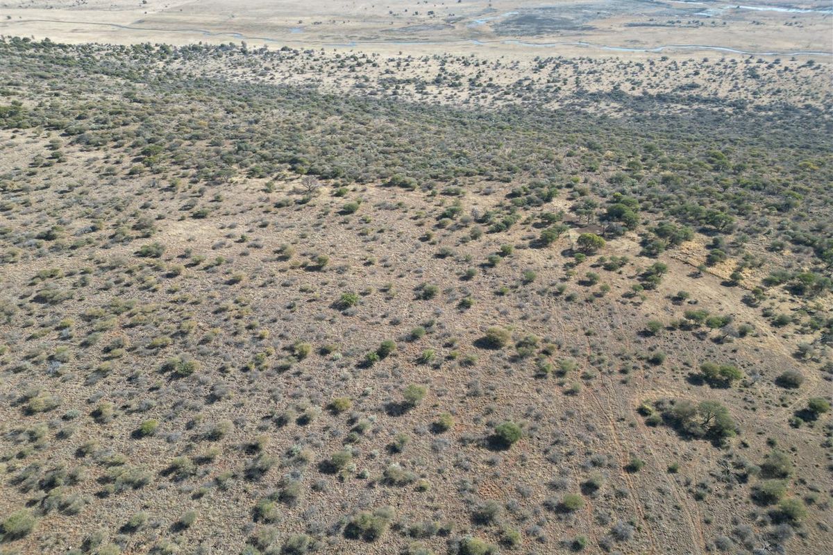 Vryburg: Farm for Sale, Brussels – 2334 ha - Photo 5