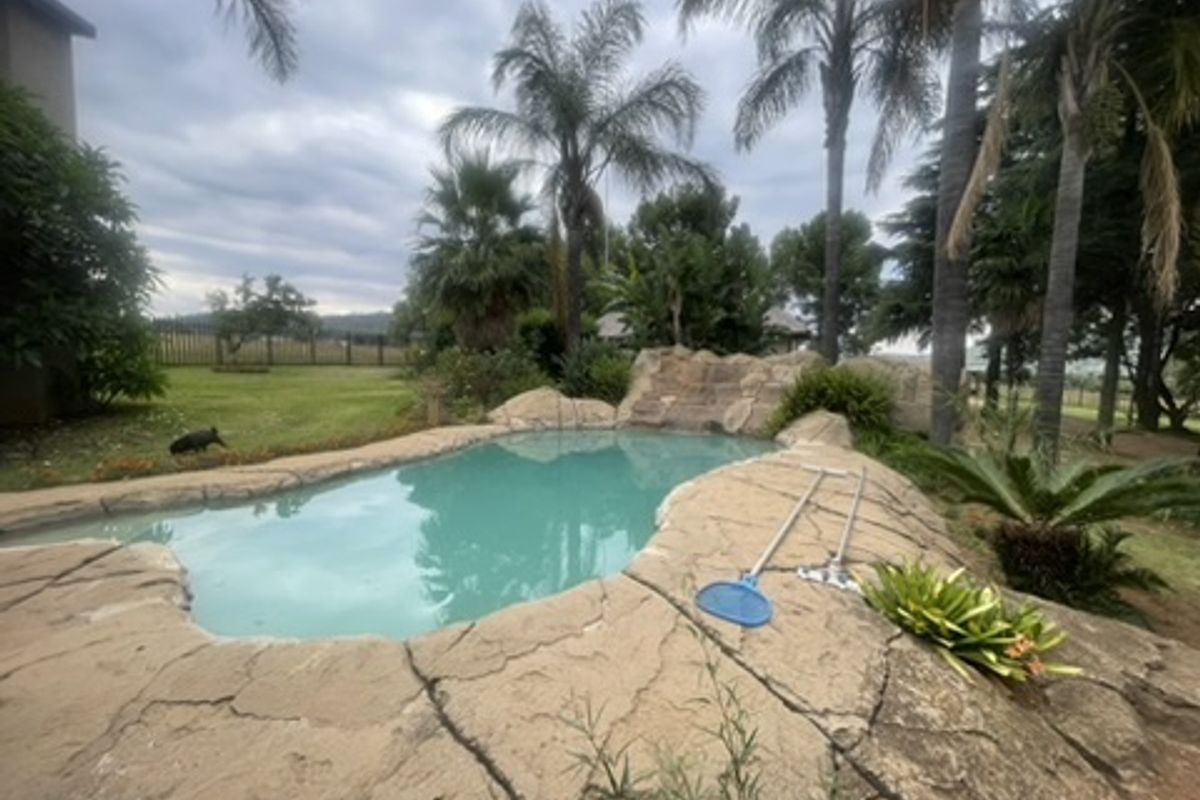 Versatile Lifestyle & Farming Estate, Homes, Workshops, Boreholes & Orchards, Irrigation And More!!! - Photo 2