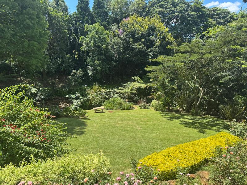 A beautifully maintained, lush green garden featuring mature trees, manicured shrubbery, and a peaceful stone bench set within a private, leafy backyard.