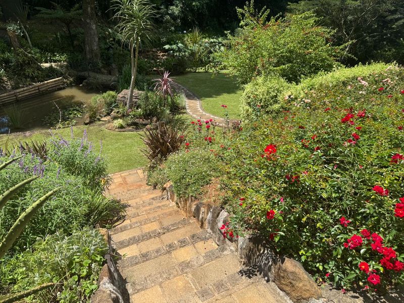 A beautifully landscaped garden featuring a stone staircase leading down to a lush lawn, mature plantings, and a tranquil pond.