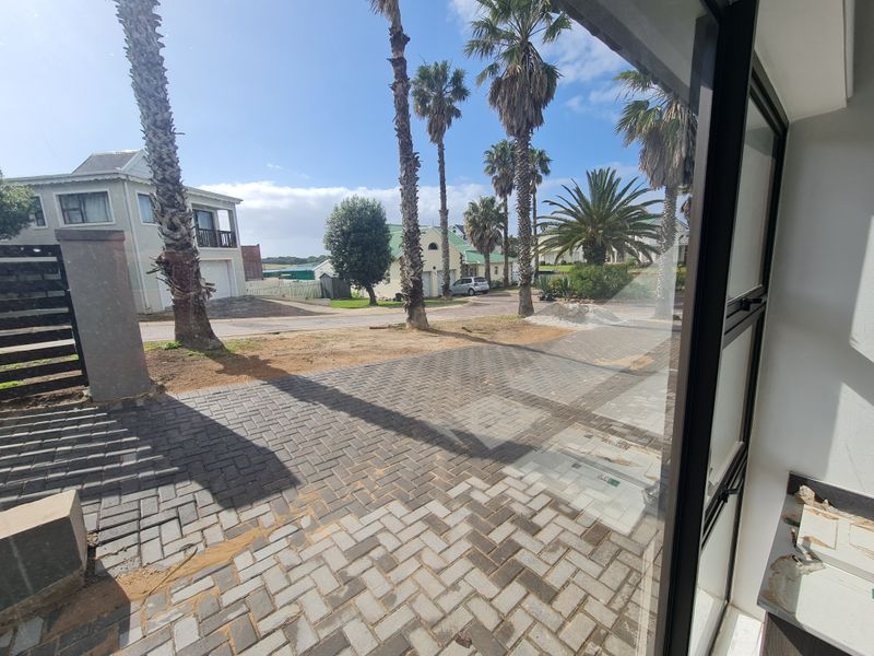 View from an interior space looking out onto a paved front driveway and garden area with established palm trees.