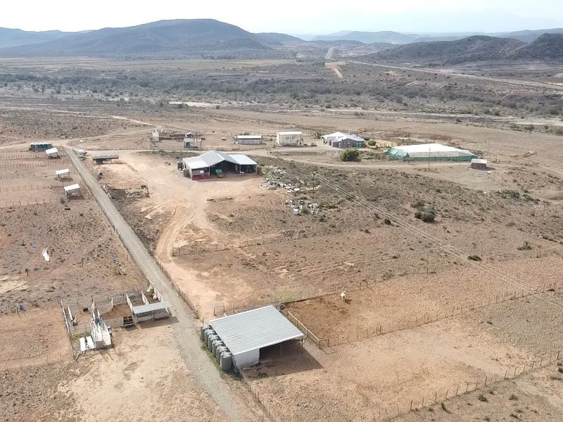 Farm for sale in Riversdale Rural - Photo 9