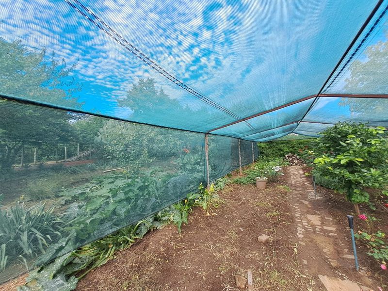 Spacious Family Oasis with Pool, Greenhouse & Separate Flat - Photo 9