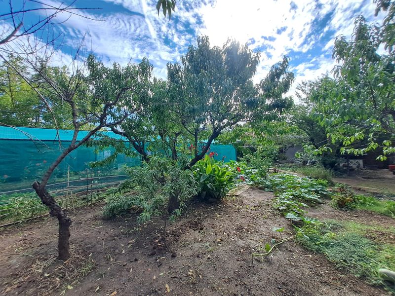 Spacious Family Oasis with Pool, Greenhouse & Separate Flat - Photo 7