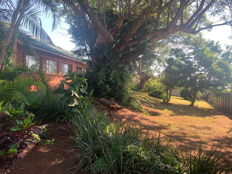 A view of the rear garden area featuring mature trees, established landscaping, and a perimeter boundary wall adjacent to the cottage structure.