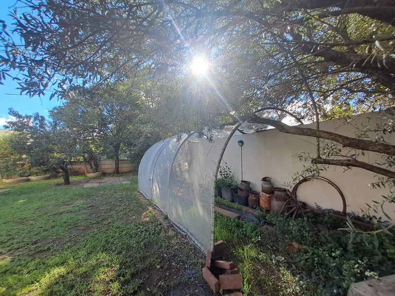 A backyard garden area featuring a boundary wall and a semi-permanent shade cloth structure under mature trees.