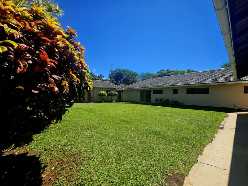 Spacious, Modern, Immaculate -  PLUS Income generator! - Photo 8