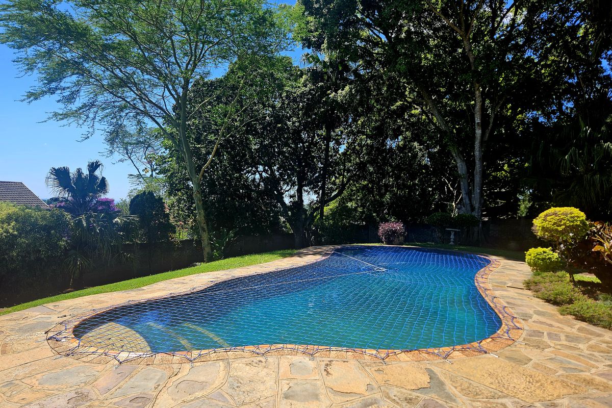 Spacious, Modern, Immaculate -  PLUS Income generator! - Photo 5