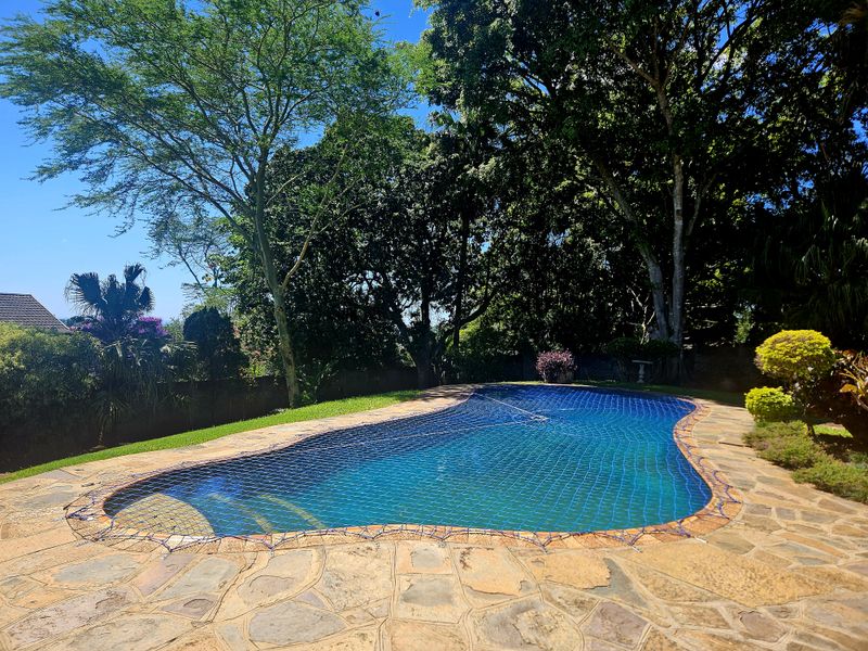 Spacious, Modern, Immaculate -  PLUS Income generator! - Photo 5