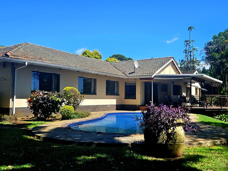 Spacious, Modern, Immaculate -  PLUS Income generator! - Photo 2